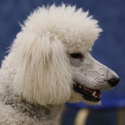 photograph by PeterW